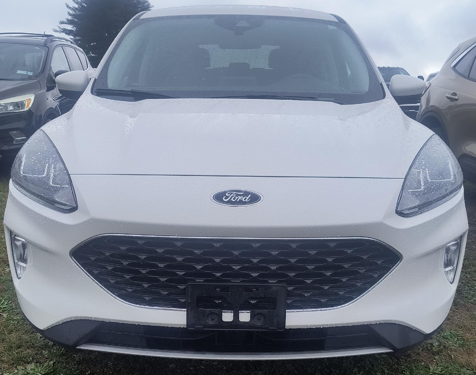 2022 Ford Escape SEL Hybrid AWD