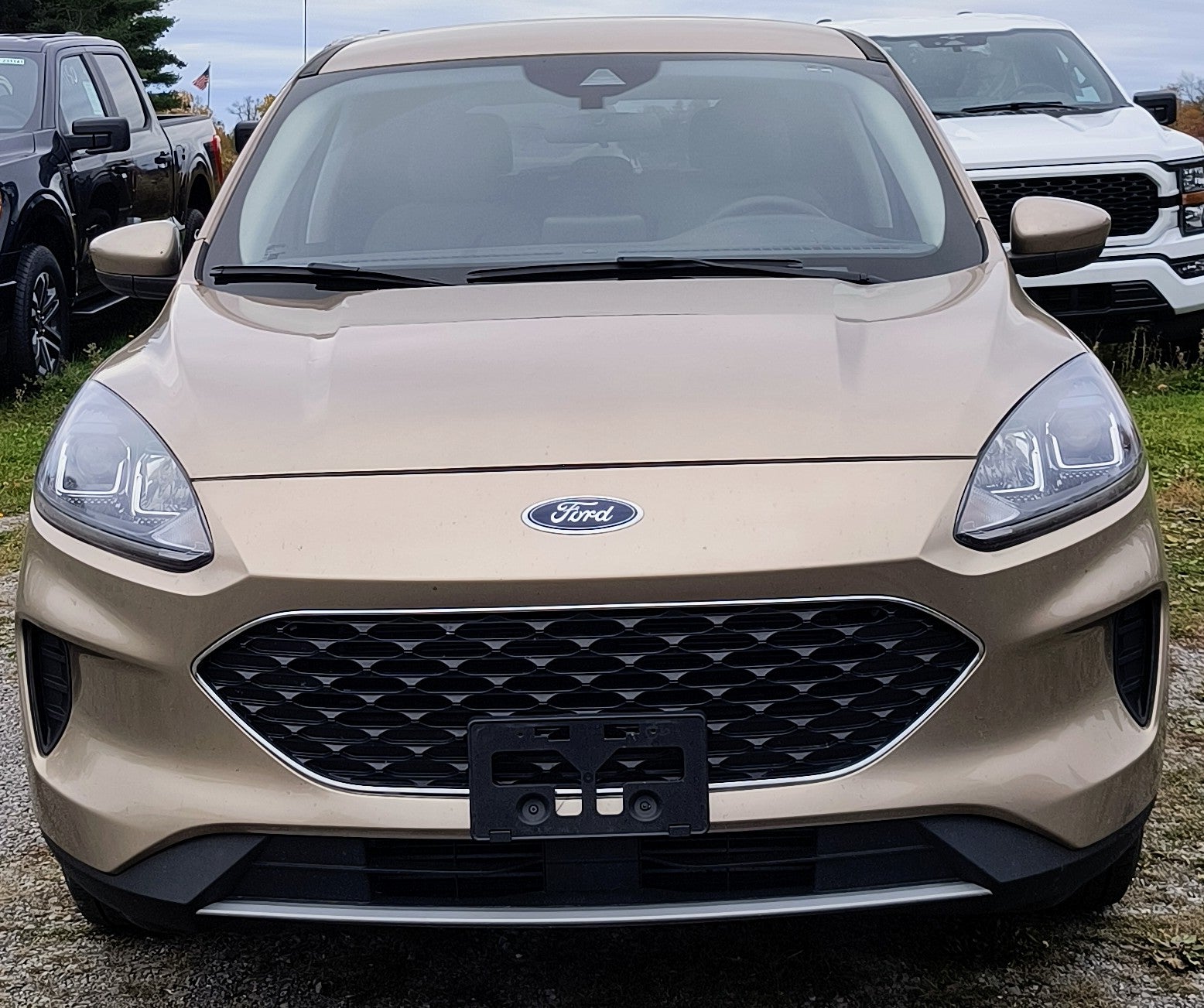 2020 Ford Escape SE AWD