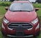 2019 Ford EcoSport Titanium 4WD